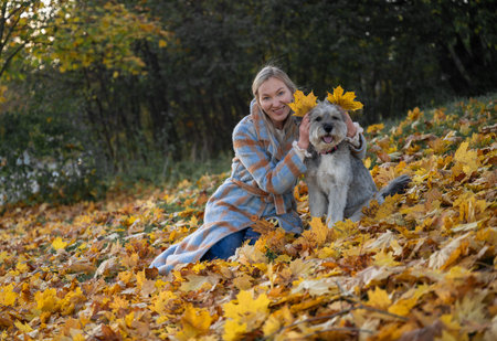 Smiling woman playing with her dog in autumn park with colorful fallen leaves