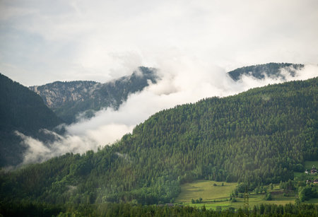 Misty clouds rolling over green forested mountain slopes in the Austrian Alps