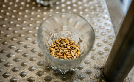 Close-up of pale malt grains for beer brewing in craft brewery