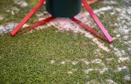 Dry Christmas tree in stand with fallen needles on carpet indoors after holidaysの写真素材