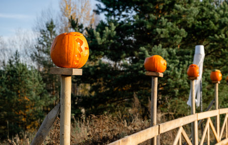 Carved Halloween pumpkins on wooden fence posts in autumn forestの写真素材