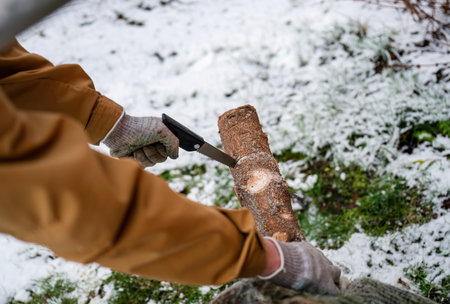 Person sawing Christmas tree trunk outdoors in snowy garden, winter holiday preparationの写真素材