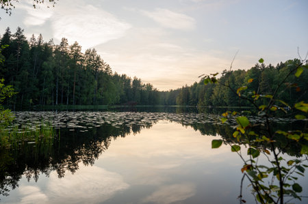 Serene forest lake at sunset with calm water and trees reflecting natureの写真素材