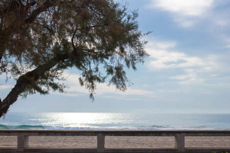 Sea and treeの写真素材