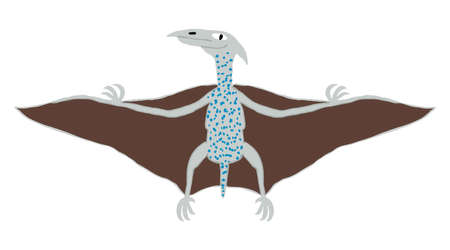 Hand drawn Pterodactyl isolated on white background. Cute flying dinosaur. Funny extinct reptile. Flat style drawing. Fun design for shirt, mug, poster, print. Stock vector illustration.のイラスト素材