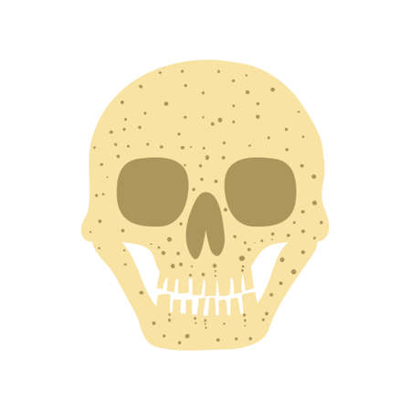 Human skull isolated on white background. Spooky Halloween decoration. Death concept. Flat style drawing. Design for poster, card, invitation. Stock vector illustration.のイラスト素材