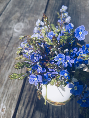 Blue forget-me-nots flowers in a vase on a wooden boardの写真素材