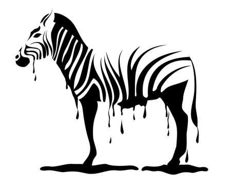 zebra loosing its stripes のイラスト素材