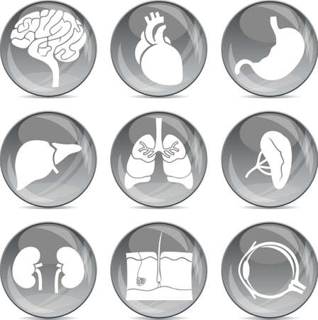 gray balls medical icons のイラスト素材