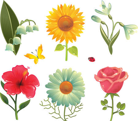 set of 6 flowers, butterfly and ladybird のイラスト素材
