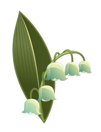 lily of the valley isolated on whiteのイラスト素材