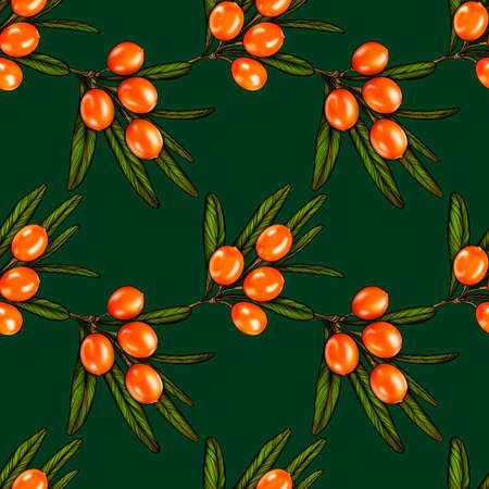 Seamless pattern with berries and branches of sea buckthorn. Sea buckthorn on a green background. Fashionable textile, fabric, packaging. Original seamless pattern.の写真素材