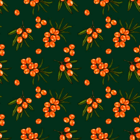 Seamless pattern with berries and branches of sea buckthorn. Sea buckthorn on a green background. Fashionable textile, fabric, packaging.の写真素材