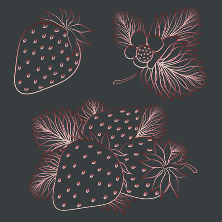 Rose Gold Strawberry Set. Set of strawberries on a gray background, details of strawberries.の写真素材