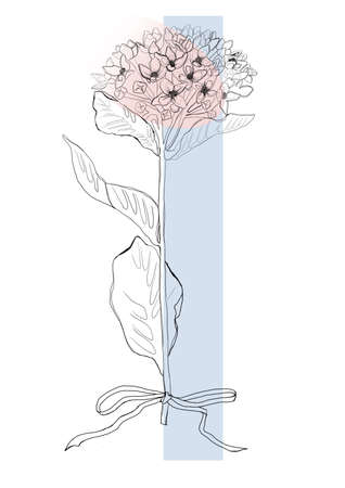 Single flower line art in abstract style on white. White color background. creative design illustration. Black background. Abstract creative design background. floral background.の写真素材