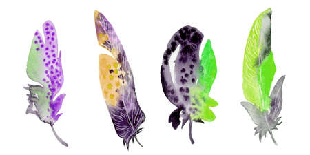 Watercolor hand drawn feathers illustration - boho style elements. isolated on the white background.の写真素材