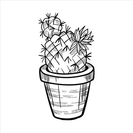 Cactus icon in outline style isolated on white background vector illustration.のイラスト素材