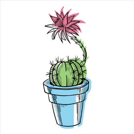 Cactus icon in outline style isolated on white background vector illustration.のイラスト素材