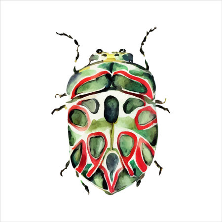 Green watercolor beetle, watercolor vector illustration of the beetle, isolate objectのイラスト素材