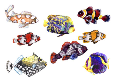 collection of eight fishes from artistic watercolor illustrationの写真素材