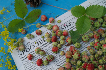 sprigs of wild strawberries on the background of the texture of aged blue wood blue woodの写真素材