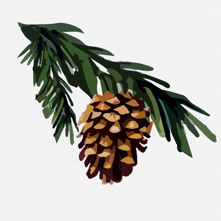 Pine cone on a pine branch. Vector illustration.のイラスト素材
