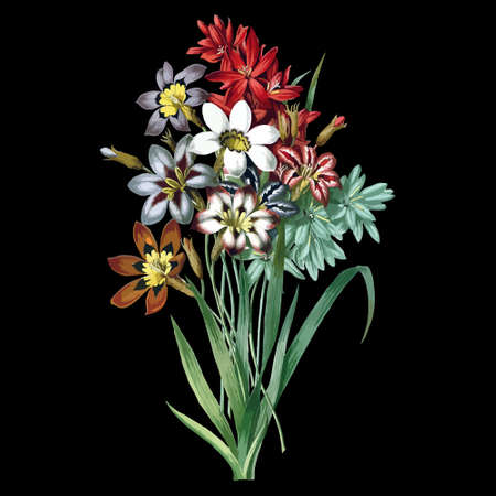 Vintage drawing of flowers. Vector illustration. For t-shirt printing and poster design. Graphic tee and printed tee.のイラスト素材