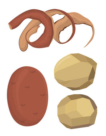 Vector illustration of potatoes, peeled potatoes, potato peelのイラスト素材