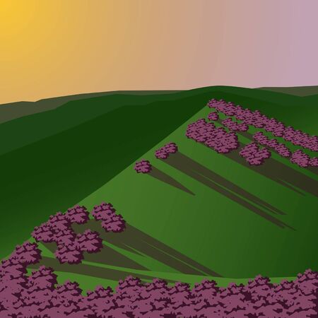 Picture of hills with flowering shrubs against the background of sunsetのイラスト素材