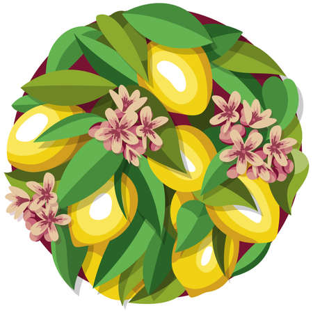 Lemons, flowers and leaves of a lemon treeのイラスト素材