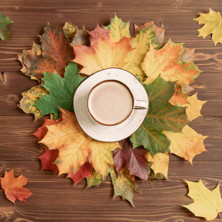 beautiful autumn flat lay with a cup of coffee and maple leaves on a wooden backgroundの写真素材