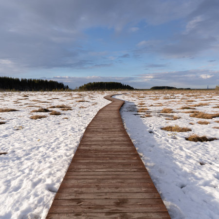 Winter landscape. Eco trail in the reserve. High quality photoの写真素材