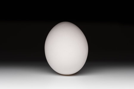 chicken egg close-up, chiaroscuro transition, play of light and shadow, horizontal image, single light sourceの写真素材