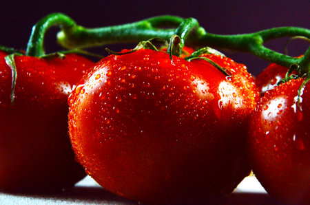 Fresh tomatoes in a white board on a dark background. Harvesting tomatoes. Top viewの写真素材