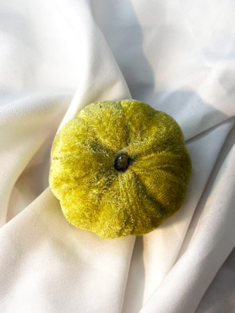 Fabric green pumpkin on a white textile background. Top view. Halloween handmade pumpkins, sewing.の写真素材