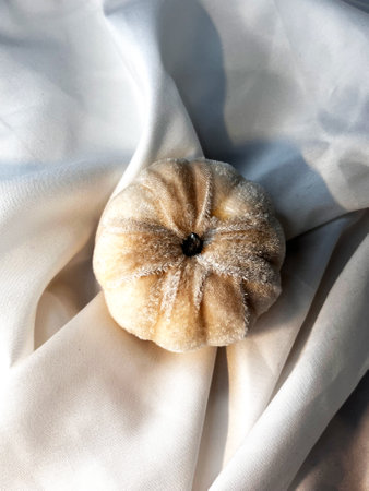 Fabric beige pumpkin on a white textile background. Top view. Halloween handmade pumpkins, sewing.の写真素材