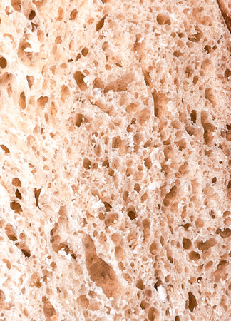 Close-up of a piece of white wheat bread with brown crusts around the edgesの写真素材