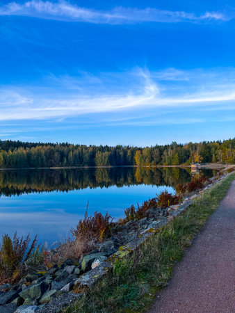 peaceful forest scene featuring tall birch and pine trees lining a serene lake. A rustic wooden bridge crosses the path, surrounded by moss-covered roots and autumn leaves. Tranquility and nature's beの写真素材
