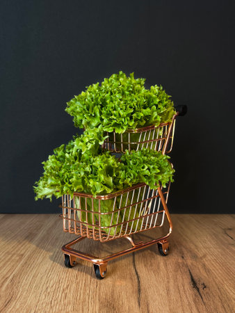 Leaf lettuce in a cart or better known as selada keriting is a type of lettuce whose leaf tips are wavy and light green in color. On black backgroundの写真素材