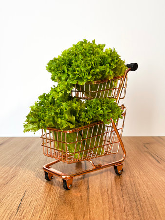 Leaf lettuce in a cart is a type of lettuce whose leaf tips are wavy and light green in color. On white backgroundの写真素材