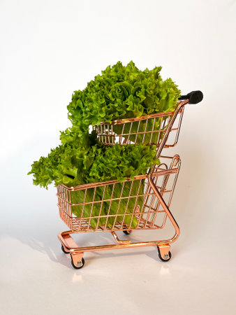 Leaf lettuce in a cart or better known as selada keriting is a type of lettuce whose leaf tips are wavy and light green in color. On white backgroundの写真素材