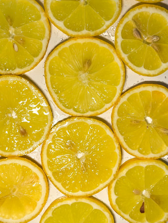 Yellow lemons sliced circle, top view close up. Background texture of fresh lemon slices, citrus fruits.の写真素材