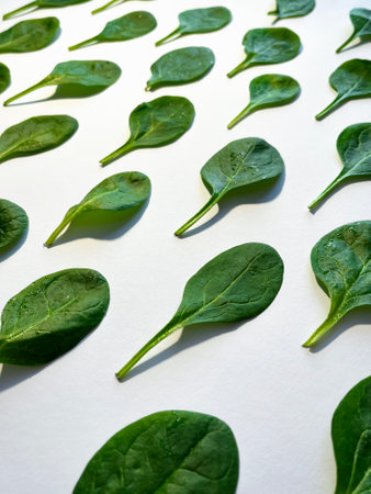 Spinach leaf isolated on white background. Fresh green baby spinach Top view. Flat lay.の写真素材