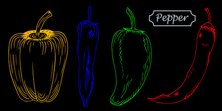 Hand drawn set of multicolored different types of peppers. Bulgarian (bulgarian pepper), sweet, jalapeno, chili isolated on black background. Sketch style vector paprika.のイラスト素材