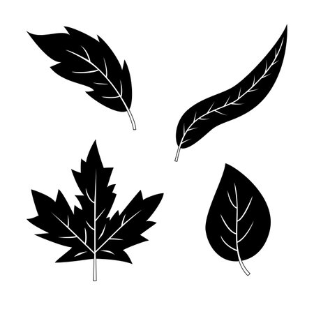 Set of 4 black and white silhouettes leaves or foliage. Different forest or garden leaves. Vector ink elements isolated on white backgroundのイラスト素材