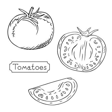 Hand-drawn tomatoes. Whole, half and slice. Sketch of a vegetarian food, a product at an agricultural market, an element for a label or poster. Vector engraving illustration.のイラスト素材
