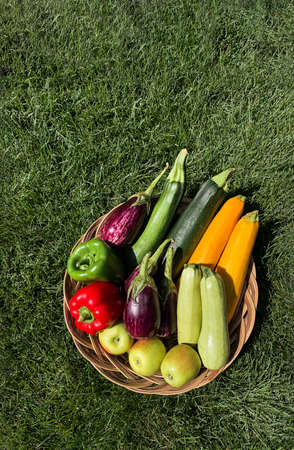 A top view of basket of seasonal homegrown vegetables, zucchini, peppers, apples, aubergines and squash.の写真素材
