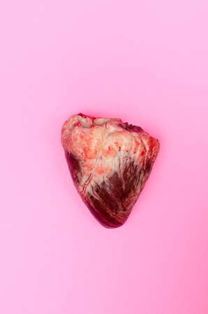 Top view of real animal heart isolated on a pink background. Copy space, St Valentines concept.の写真素材