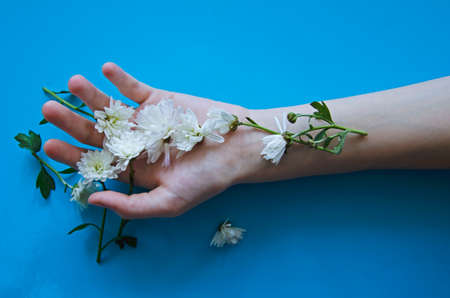 Bright contrast makeup. Creative beauty of a photo of girls, a photo of hands of girls with white flowersの写真素材