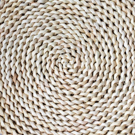 Hyacinth round mat close upの写真素材
